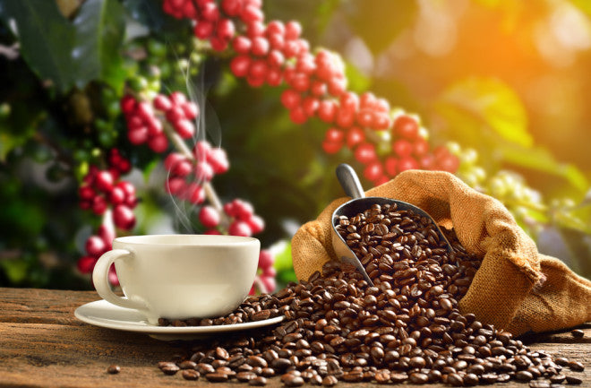 What makes specialty coffee different?