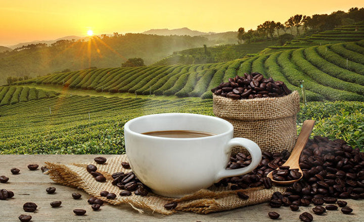 Organic Breakfast Blend